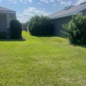 yard work by Nathan Massey reviewed on December 11, 2025