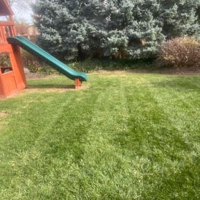 Bush Trimming by Ike’s Lawn &amp; Yard Services reviewed on July 12, 2025