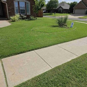 yard care by Rex&#039;s Lawn care reviewed on November 20, 2025