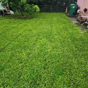 yard maintenance by R&amp;R work reviewed on August 15, 2025