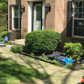 Bush Trimming by Caver Lawn Care reviewed on August 15, 2025
