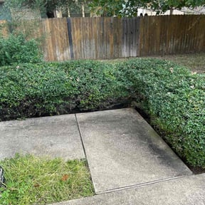 Bush Trimming by Donald Austile Lawn Care reviewed on August 20, 2025