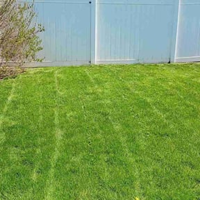 landscaping services by Beyond Green Landscaping reviewed on August 17, 2025