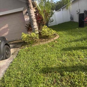 Bush Trimming by David Peters reviewed on June 11, 2025