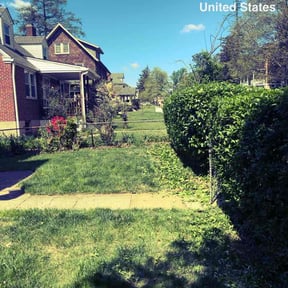 Bush Trimming by One Kool Kat Lawn Care reviewed on April 22, 2026