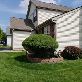 Bush Trimming by Armstrong's Lawn Care Plus reviewed on August 21, 2025