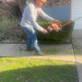Bush Trimming by Tefel rivera reviewed on August 15, 2025