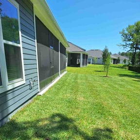 residential landscaping by Tamas Multiservice reviewed on August 16, 2025