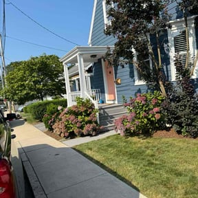 grass cutting by Feliciano matos reviewed on August 20, 2025