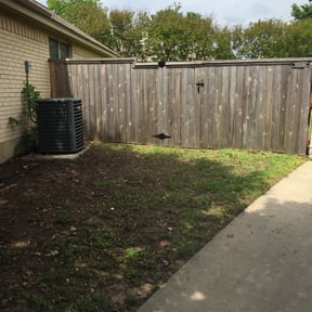Leaf Removal by RainCityLandscapes reviewed on August 21, 2025