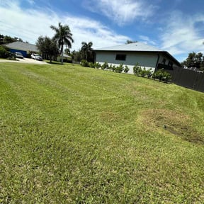 turf care by Elston Lawn Care reviewed on November 9, 2023
