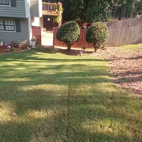 Bush Trimming by YardPro reviewed on August 18, 2025