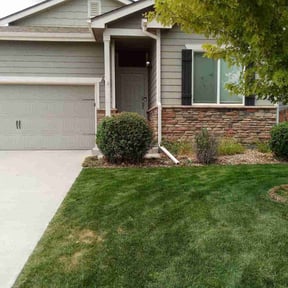 Bush Trimming by Beyond Green Landscaping reviewed on November 24, 2025