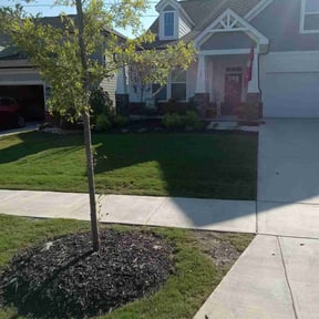grass maintenance by Mariscal Lawn and Landscaping LLC reviewed on March 29, 2024