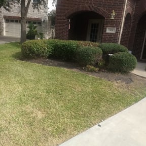 Bush Trimming by KIELS LAWNCARE PROPERTY MAINTENANCE LLC reviewed on August 19, 2025