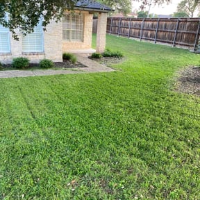 turf care by Property cuts reviewed on June 11, 2025