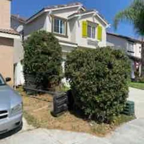 Bush Trimming by El Caribe Lawn & Palms reviewed on August 13, 2025