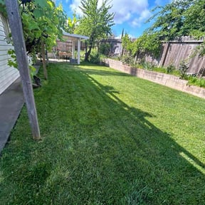 yard care by Diego Mojica Lawn Care reviewed on August 18, 2025