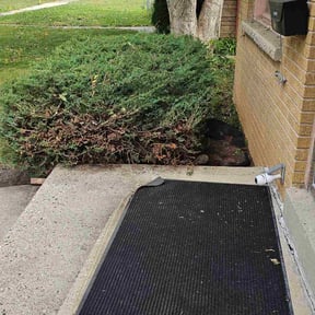 Bush Trimming by Stephen watts lawn care llc reviewed on October 21, 2025