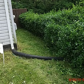 Bush Trimming by Graffeo's Lawn Service reviewed on August 15, 2025