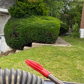 Bush Trimming by All Seasons Landscape &amp; Hauling reviewed on August 21, 2025