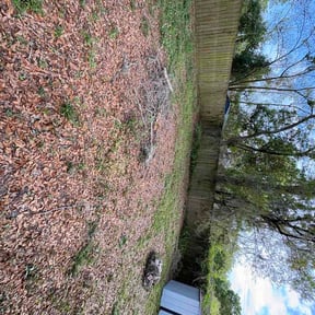 Leaf Removal by OFG Mowing and Softwash reviewed on April 5, 2026
