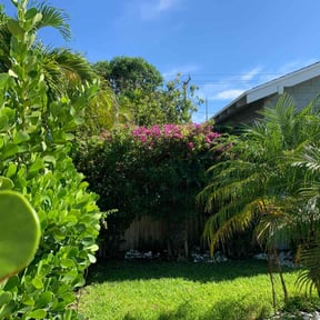 Bush Trimming by C&C Lawn Care reviewed on August 17, 2025