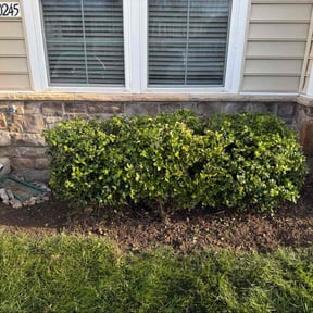 Flower Bed Weeding by Gulf Coast Terra Development reviewed on October 19, 2025