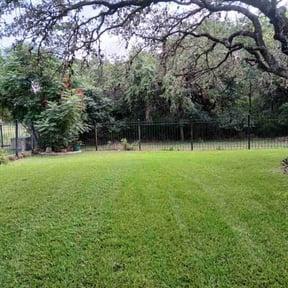 landscaping services by Green Day Lawn Service reviewed on April 23, 2024