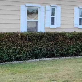 grass cutting by Advanced Agricultural Solutions reviewed on July 12, 2025