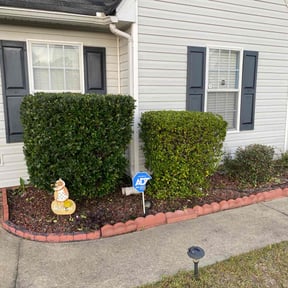 Bush Trimming by Uppercuts Lawn Care reviewed on August 15, 2025