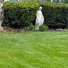 Bush Trimming by JSR lawncare reviewed on May 2, 2026