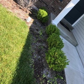 Bush Trimming by Erick's Lawn Maintenance reviewed on August 21, 2025