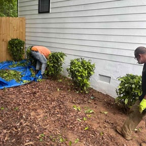 Bush Trimming by Copperfield Lawn reviewed on August 21, 2025