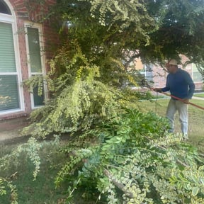 Bush Trimming by Flowers Transportation & Maintenance LLC reviewed on August 19, 2025