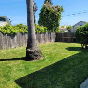 landscape maintenance by Christian Brothers Maintenance reviewed on August 16, 2025
