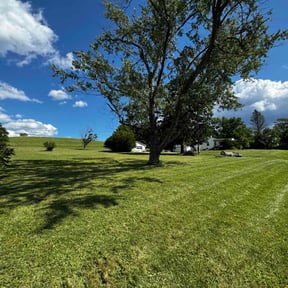 landscaping services by DavidH15066 reviewed on August 15, 2025