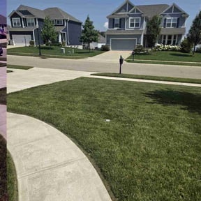 landscaping by LoneStar Mow Pros reviewed on August 16, 2025