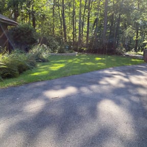 Bush Trimming by Residential maintenance reviewed on August 16, 2025