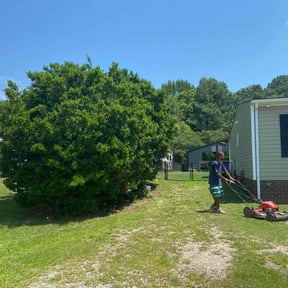 Bush Trimming by Grass Experts reviewed on August 20, 2025