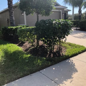 Bush Trimming by Aguilar Landscaping reviewed on August 20, 2025