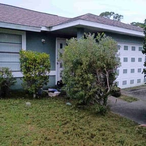 Bush Trimming by Tatum Lawn Care reviewed on November 24, 2025