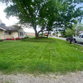 gardening service by BT Home Services reviewed on August 18, 2025