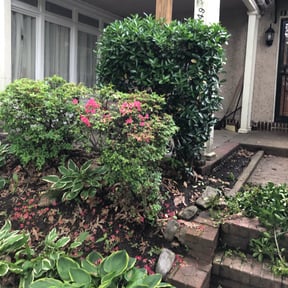 Bush Trimming by S & G Landscaping, Inc. reviewed on August 21, 2025
