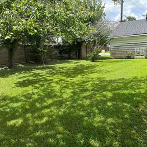 yard service by Top Dawg Lawn reviewed on November 19, 2025