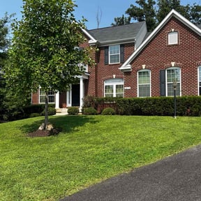 yard maintenance by Terrell lawn care reviewed on August 21, 2025