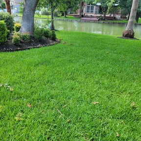 residential landscaping by Premier Lawn Services reviewed on August 19, 2025