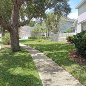 gardening service by DMD LAWN SVC reviewed on August 19, 2025