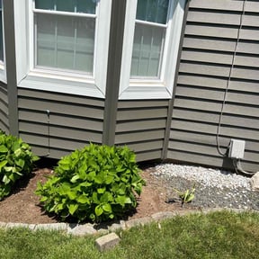 Flower Bed Weeding by Lindsay’s lawncare reviewed on August 17, 2025