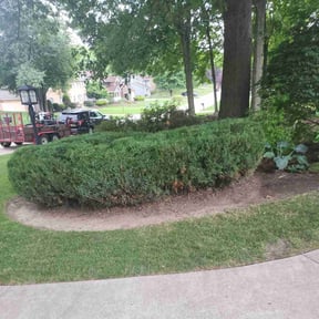 Bush Trimming by Freds lawn service reviewed on August 18, 2025